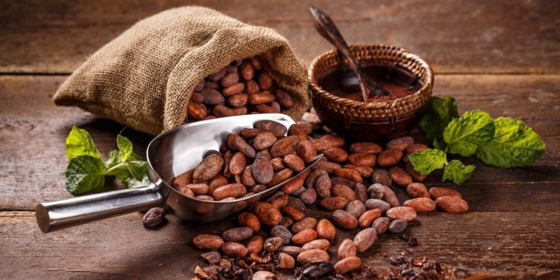 Ecuador Exportador Boom Cacaotero En Ecuador